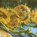 solsikker